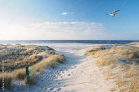 Top Devon Holiday Cottages for Your Next Getaway