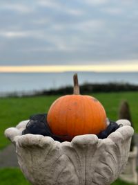 Halloween October Half Term in Westward Ho! – Family Holiday Cottages in North Devon