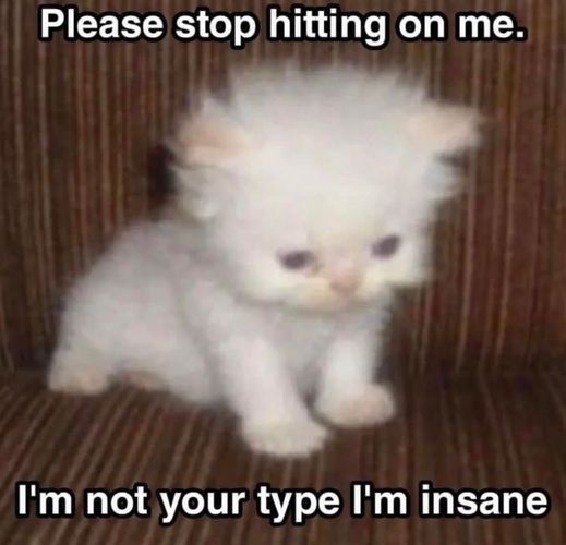 Tiny Shiro