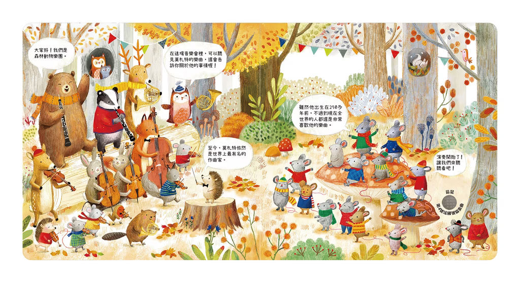 森林裡的動物音樂會系列