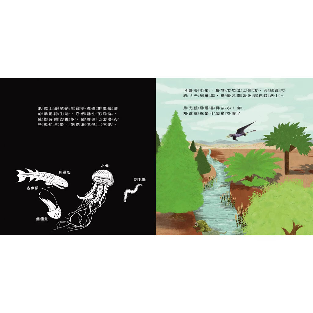 透光Show系列
