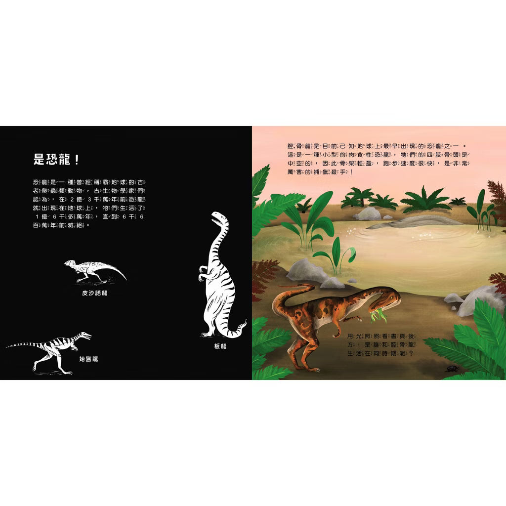 透光Show系列