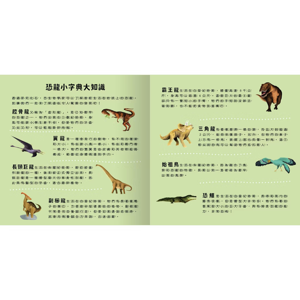 透光Show系列