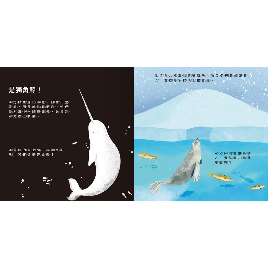 透光Show系列