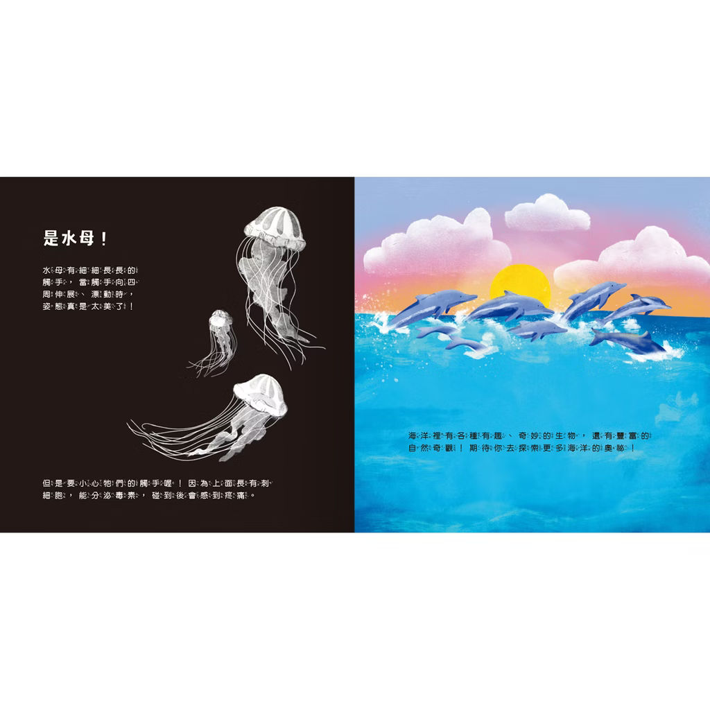 透光Show系列