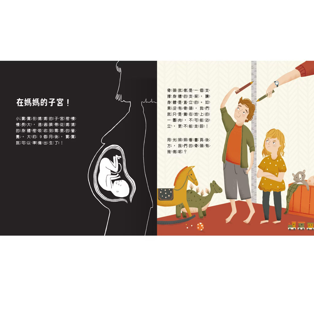 透光Show系列