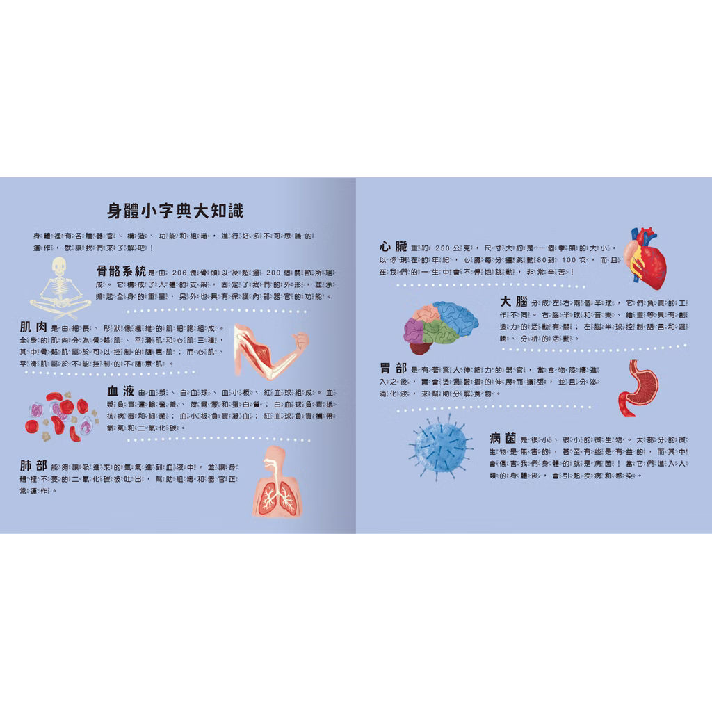 透光Show系列