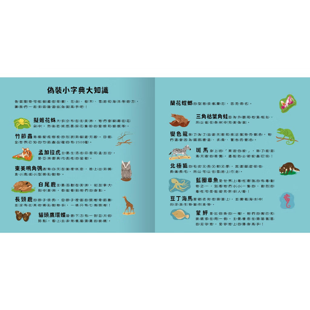 透光Show系列