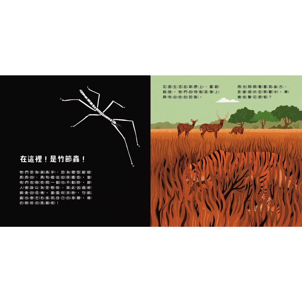 透光Show系列