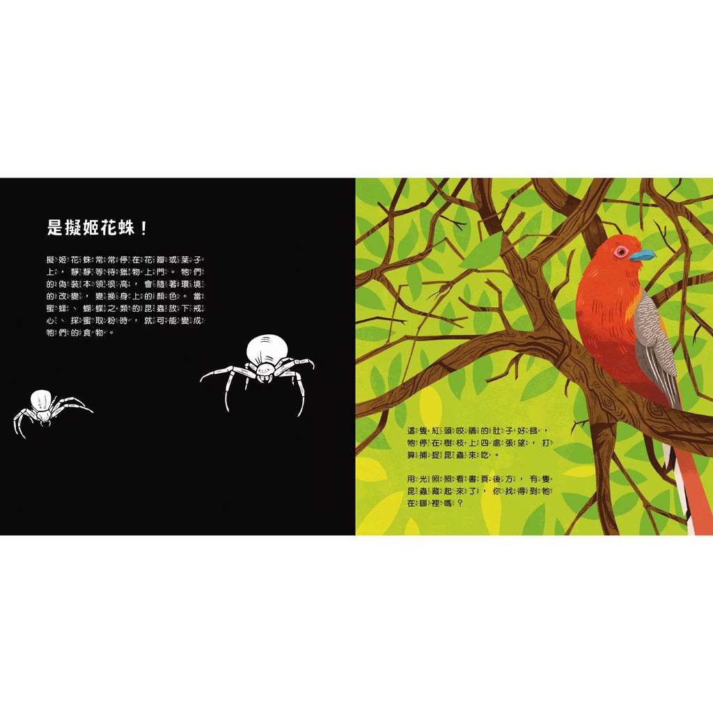 透光Show系列