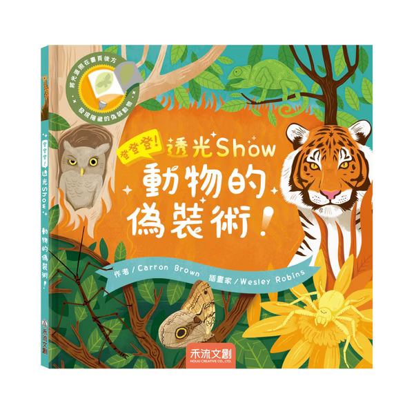 透光Show系列