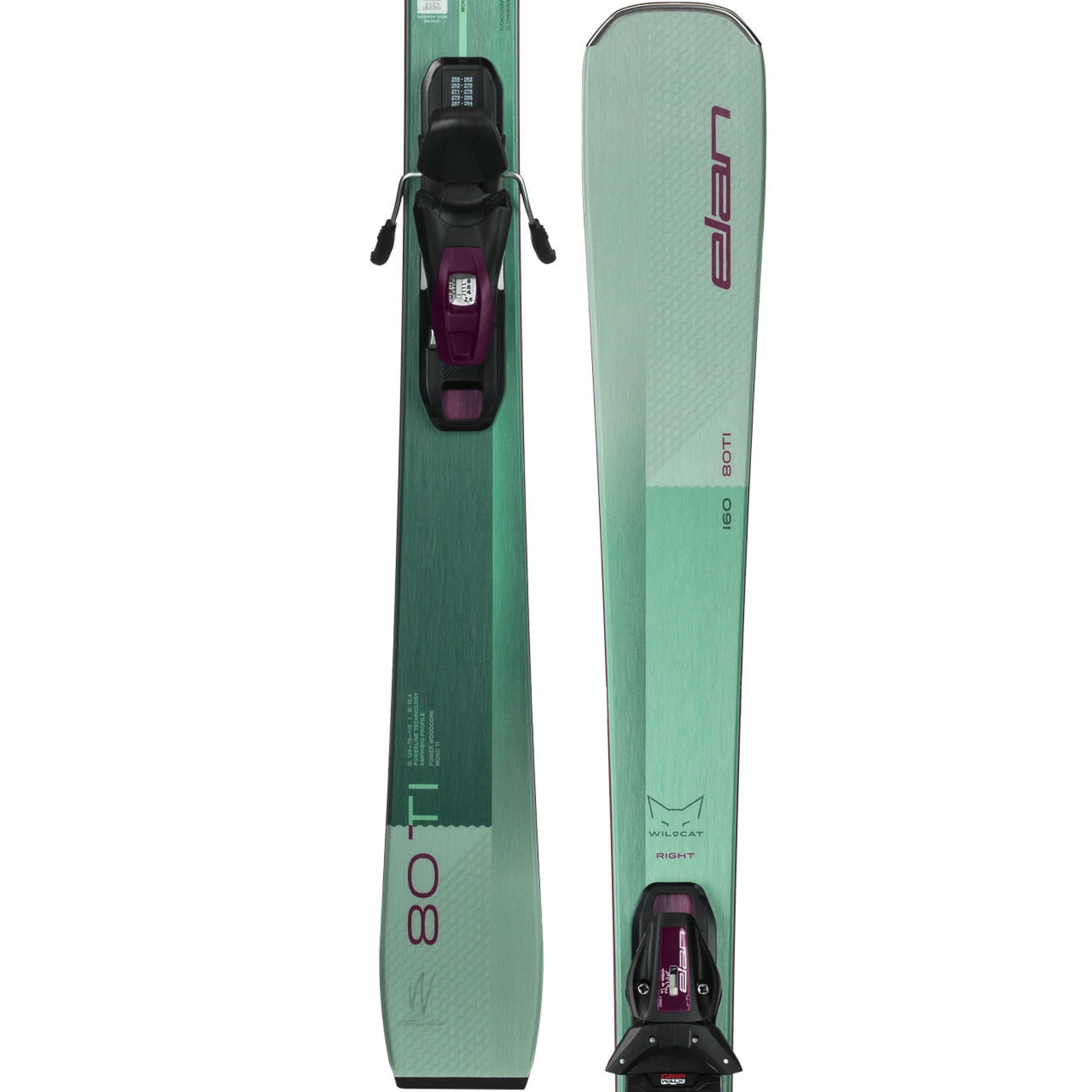 Горные лыжи Elan Wildcat 80 TI Shift X