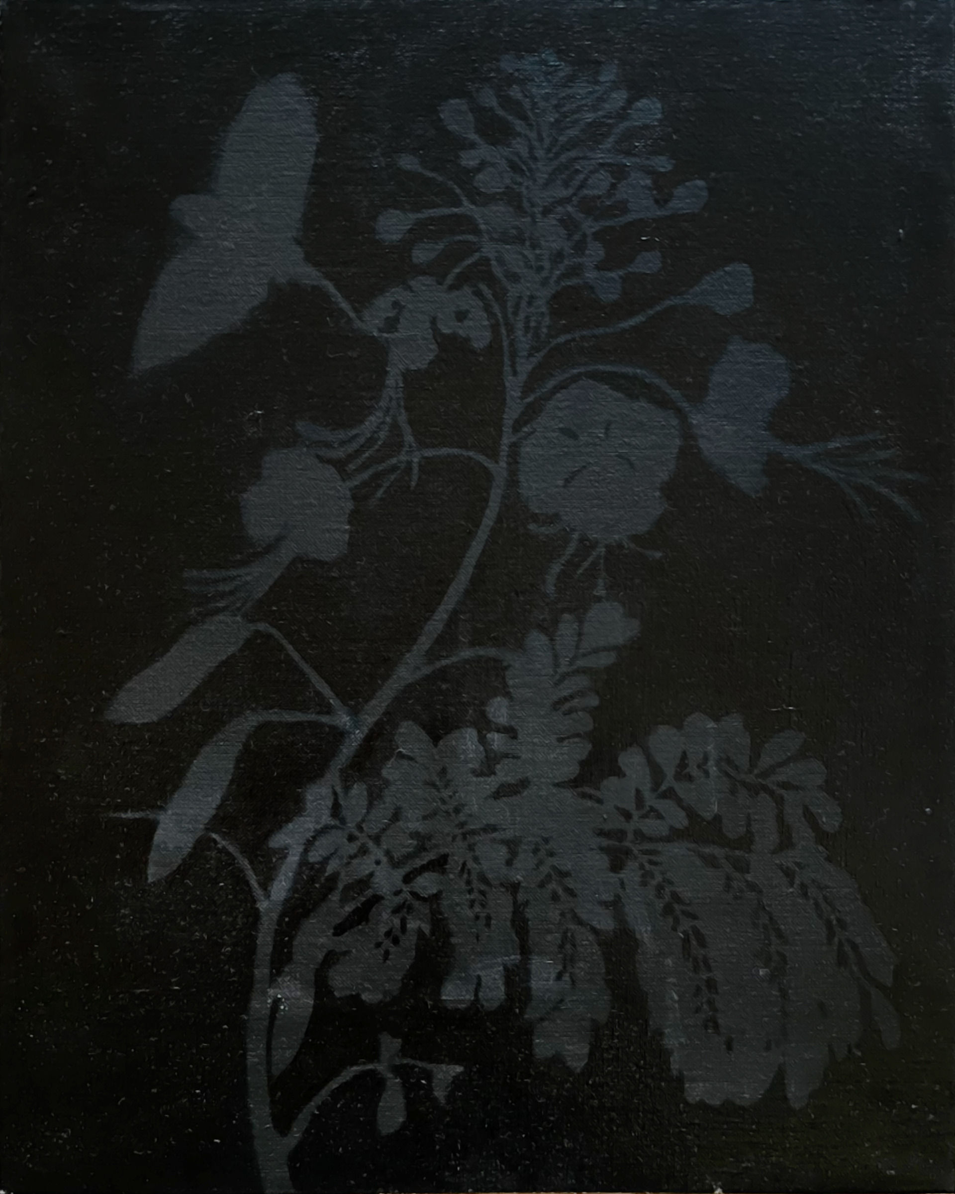 After Merian: Our Bodies, Our Botany