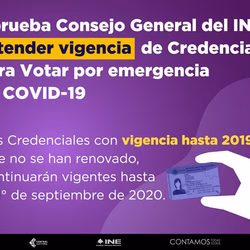 Aprueba INE proyectos para garantizar derecho a la identidad durante emergencia por COVID-19
