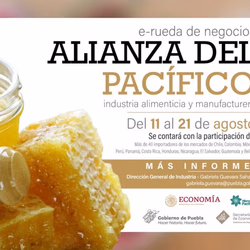 Convoca la Secretaría de Economía a empresas a E-Rueda de Negocios Alianza del Pacífico