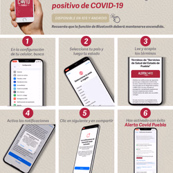 Gobierno Estatal pone en marcha “Alerta Covid Puebla”, una aplicación para notificar posible exposición al virus