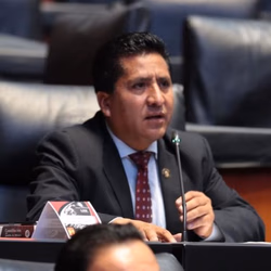 Diputado federal de Morena Raymundo Atanacio Luna
