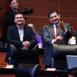 Senador Alejandro Armenta 
