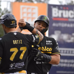 Pericos de Puebla/ Foto: Especial 
