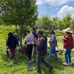 Refuerza Gobierno de la Ciudad reforestación con más de 964 árboles plantados