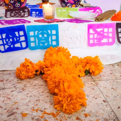 Dales una segunda vida a las flores de cempasúchil, Ayuntamiento de Puebla abre centro de acopio