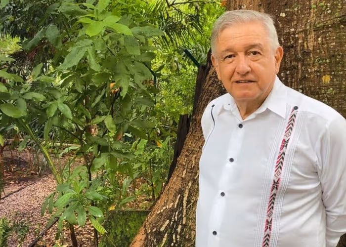 Recuperación económica en México va a ser tipo ‘V’: AMLO