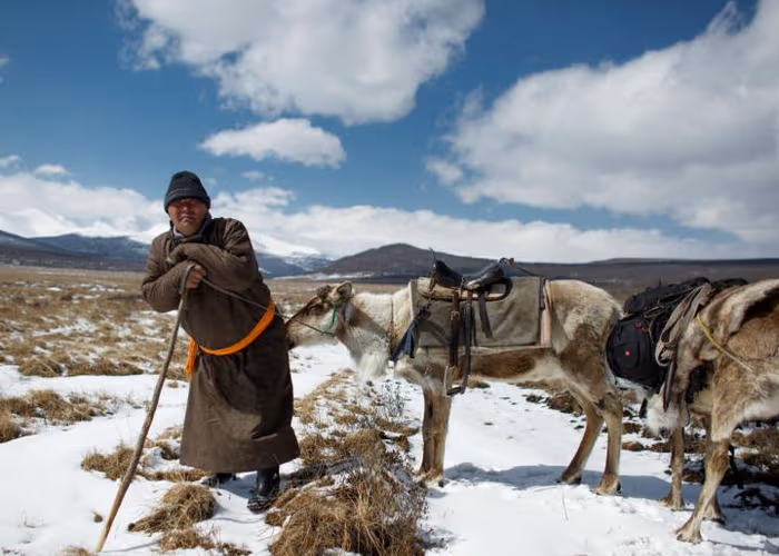 Alertan del brote de peste bubónica en Mongolia por el consumo de carne de marmota