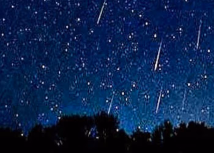 Habrá lluvia de meteoros este domingo y te decimos dónde podrás observarla