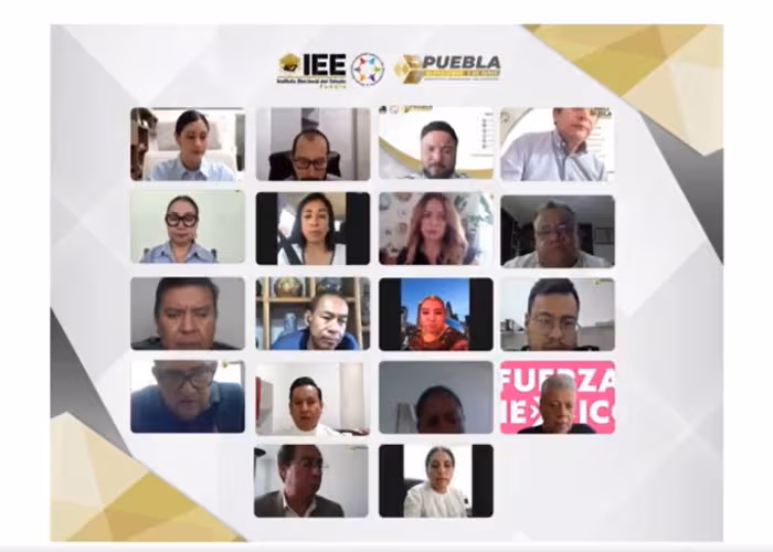 IEE/ Foto: Captura de Pantalla 
