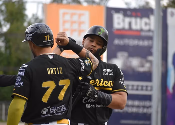 Pericos de Puebla/ Foto: Especial 
