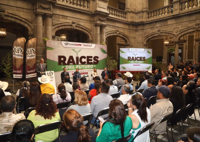 Anuncia Gobierno de la Ciudad programa “Raíces del Futuro” para reforestar y reverdecer el municipio