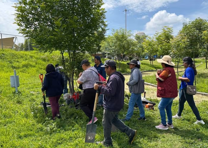 Refuerza Gobierno de la Ciudad reforestación con más de 964 árboles plantados