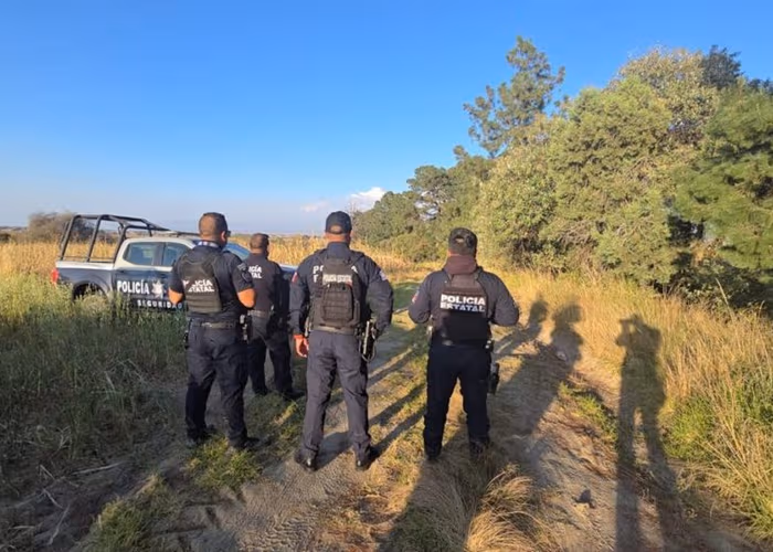 Tres de los seis cuerpos hallados entre Puebla y Tlaxcala fueron identificados