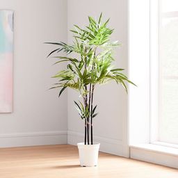 Faux Potted Green Fern Plant Tree - West Elm | Havenly