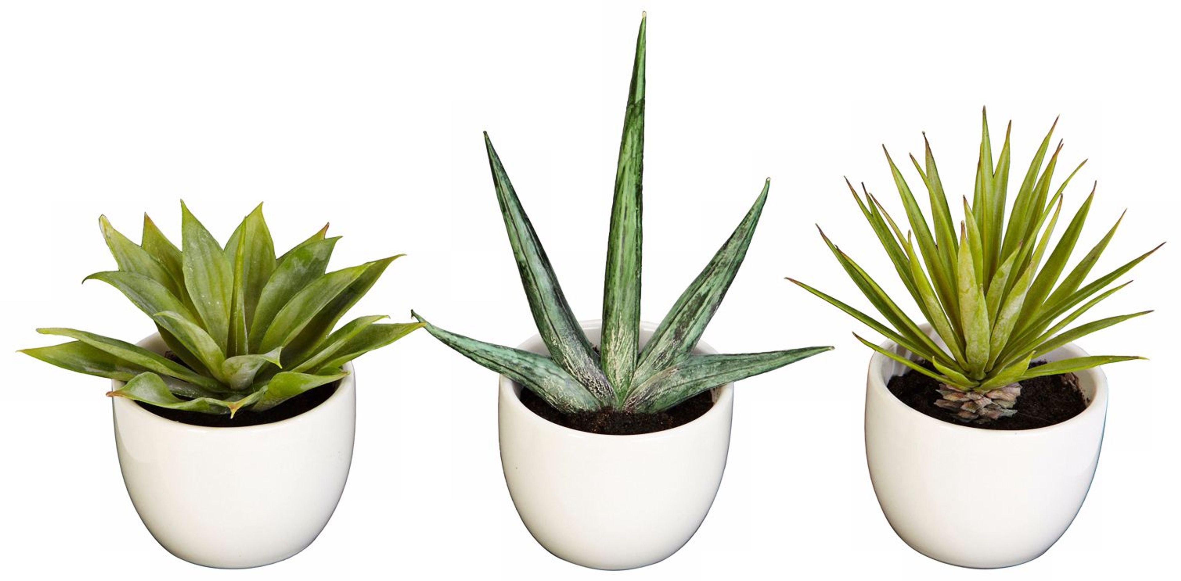 Southwest Mixed Succulent Faux Plants in Pots Set of 3 - #7C216 | Lamps Plus