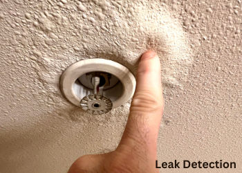 FAQS about Emergency Leak Detection Services in Kathleen, GA