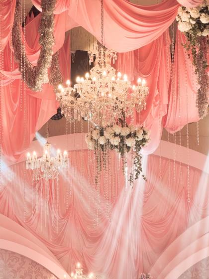 Ceiling and Backdrop — Reception decor — Merlis Coimbatore