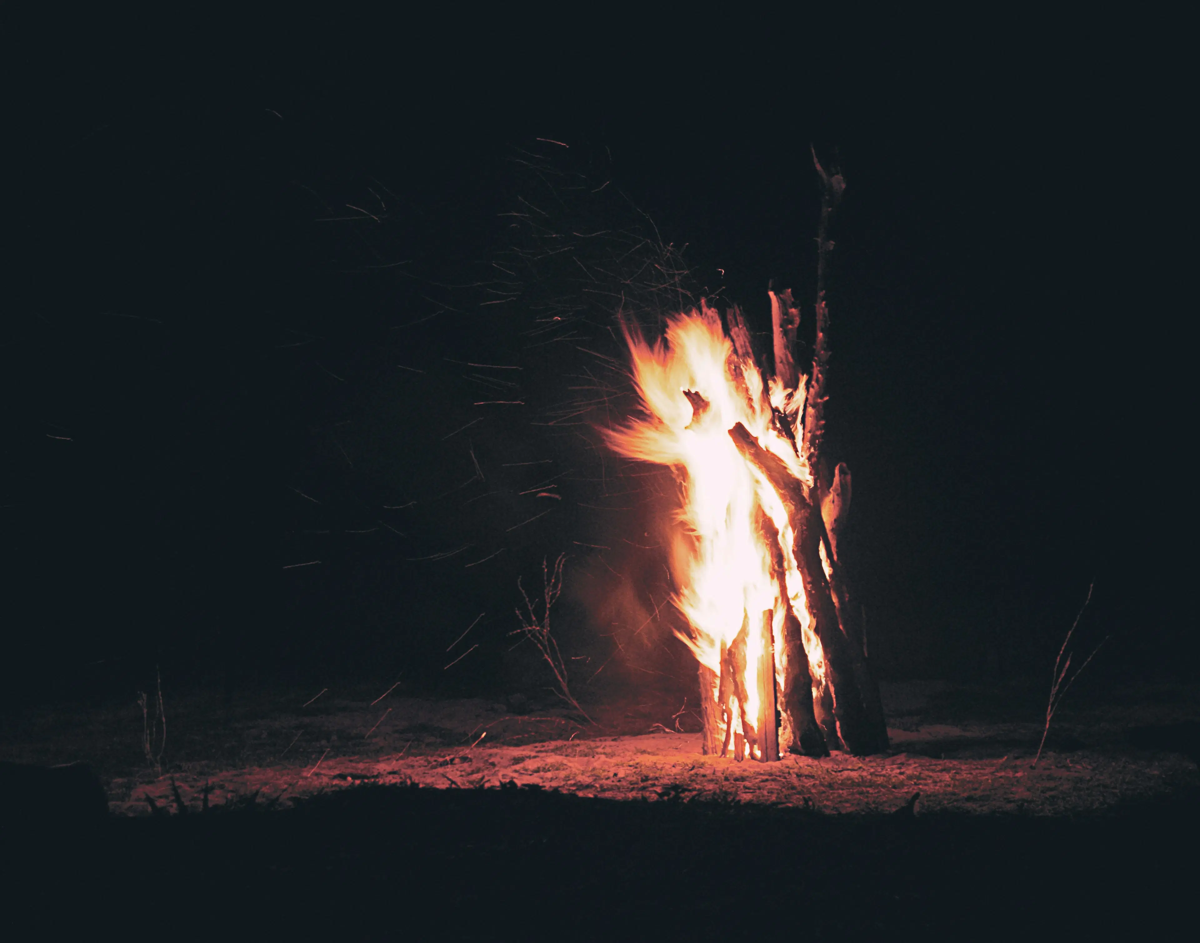 Bonfire Nights