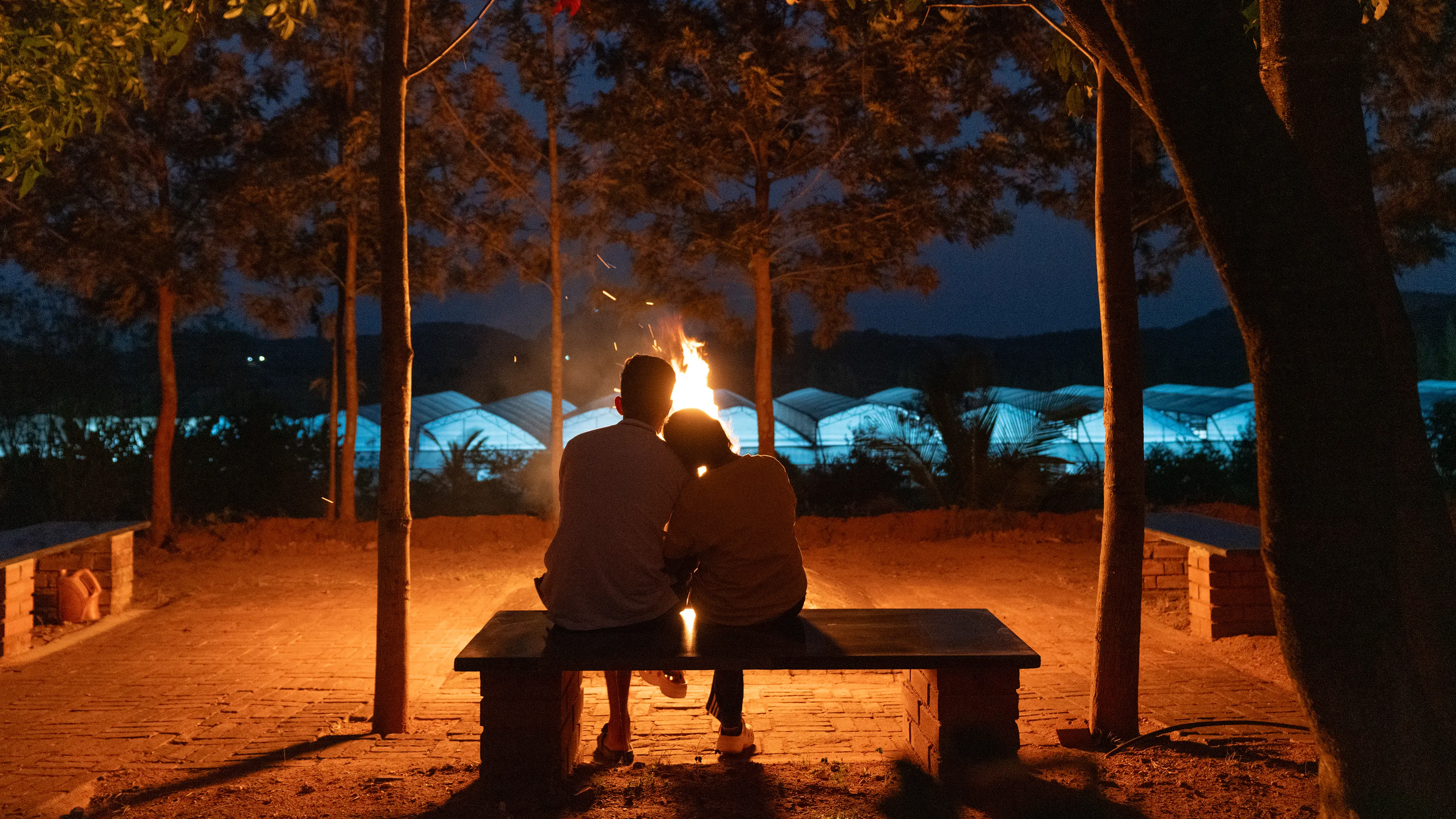 Bonfire Nights 