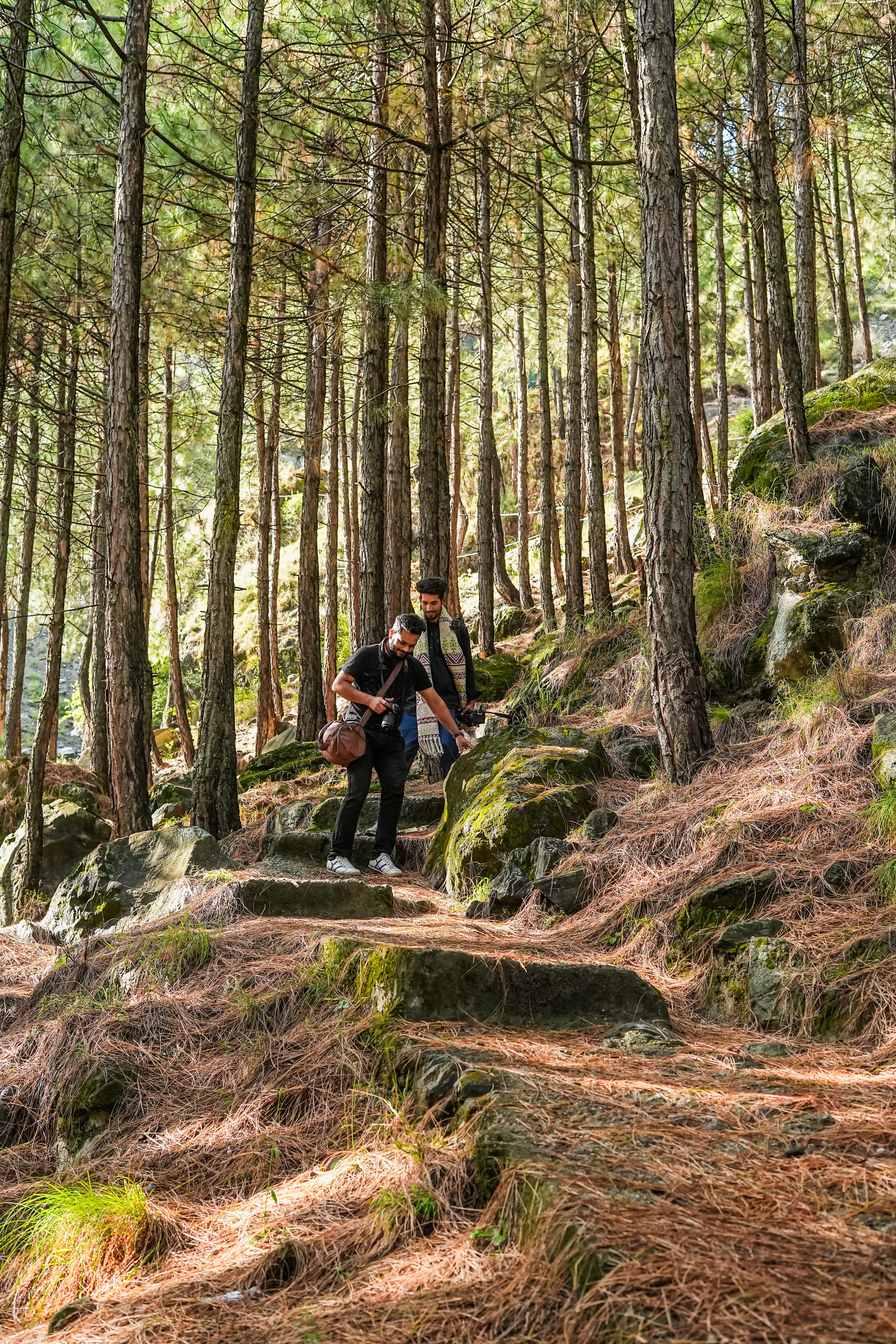 Trekking & Nature Walks