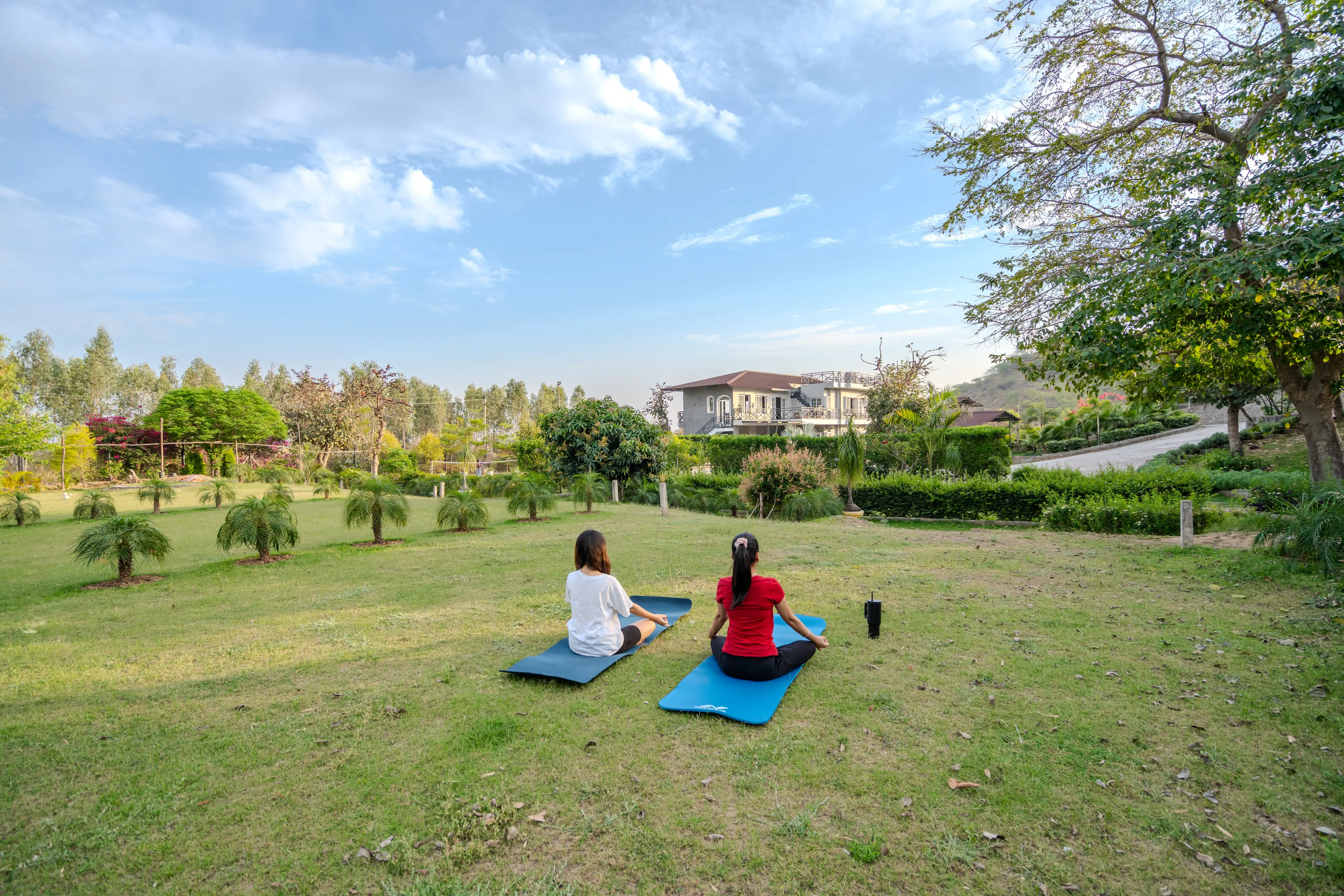 Yoga Sessions amidst the Nature