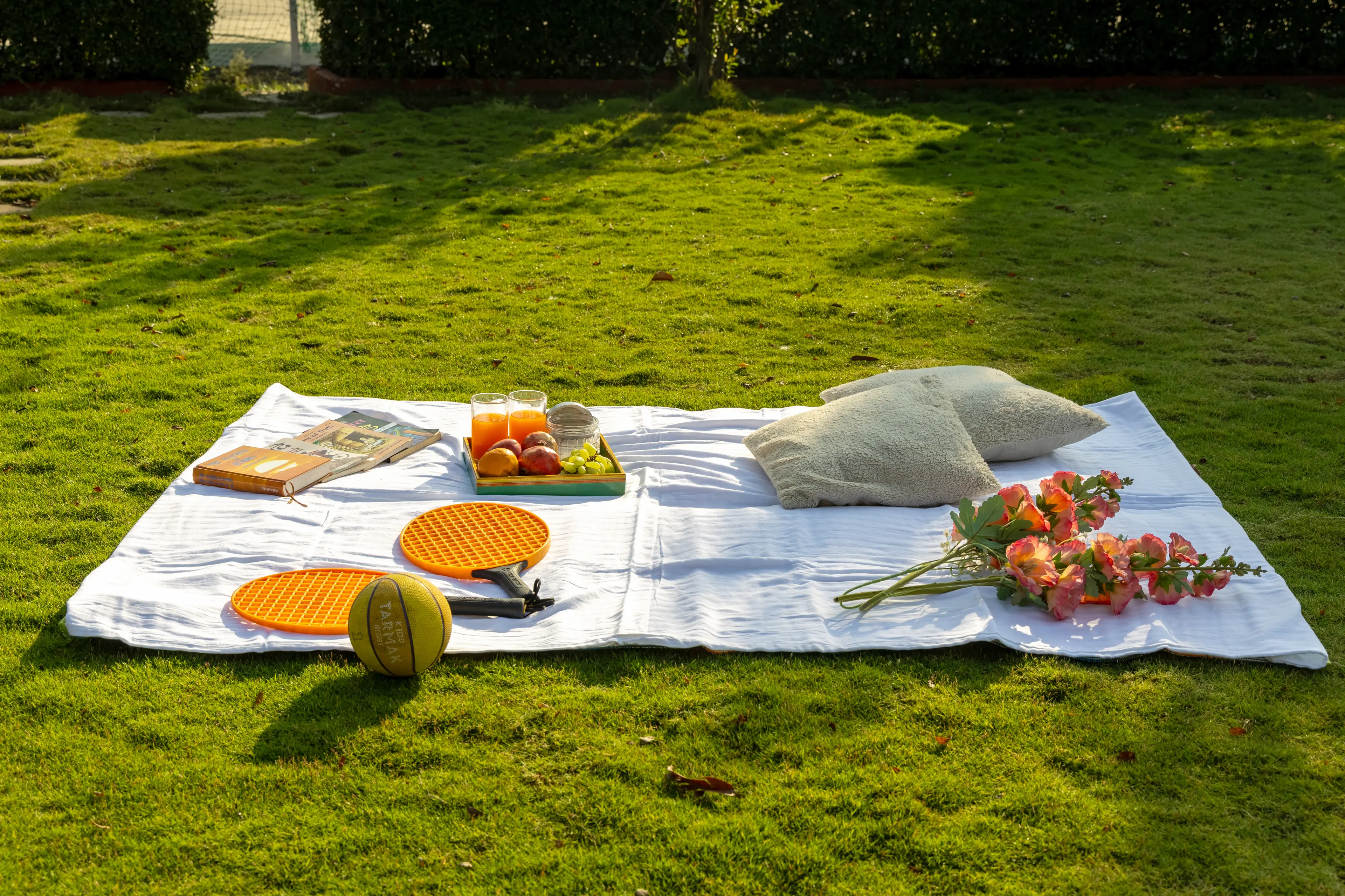 Outdoor Picnic Setup
