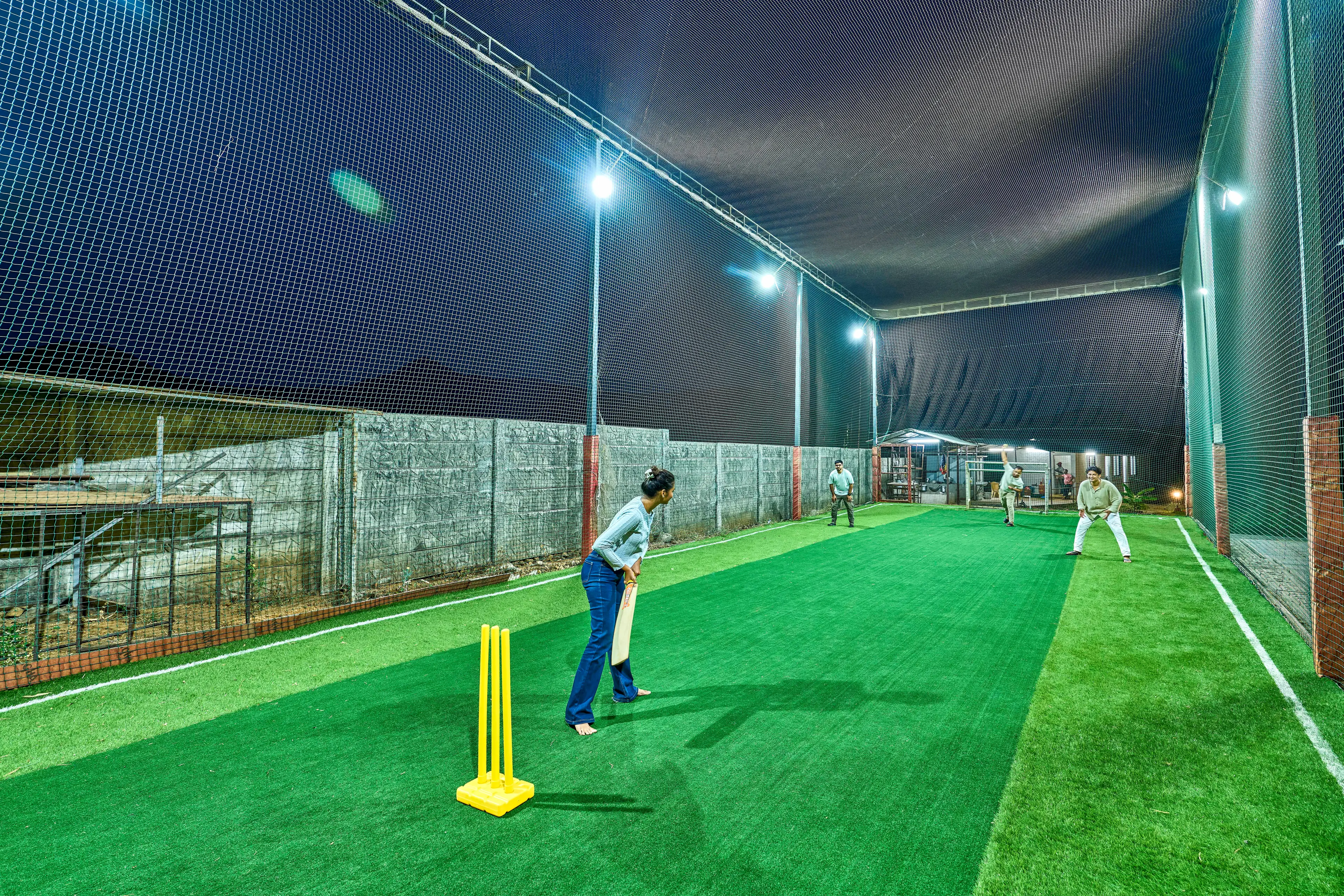 Cricket Turf