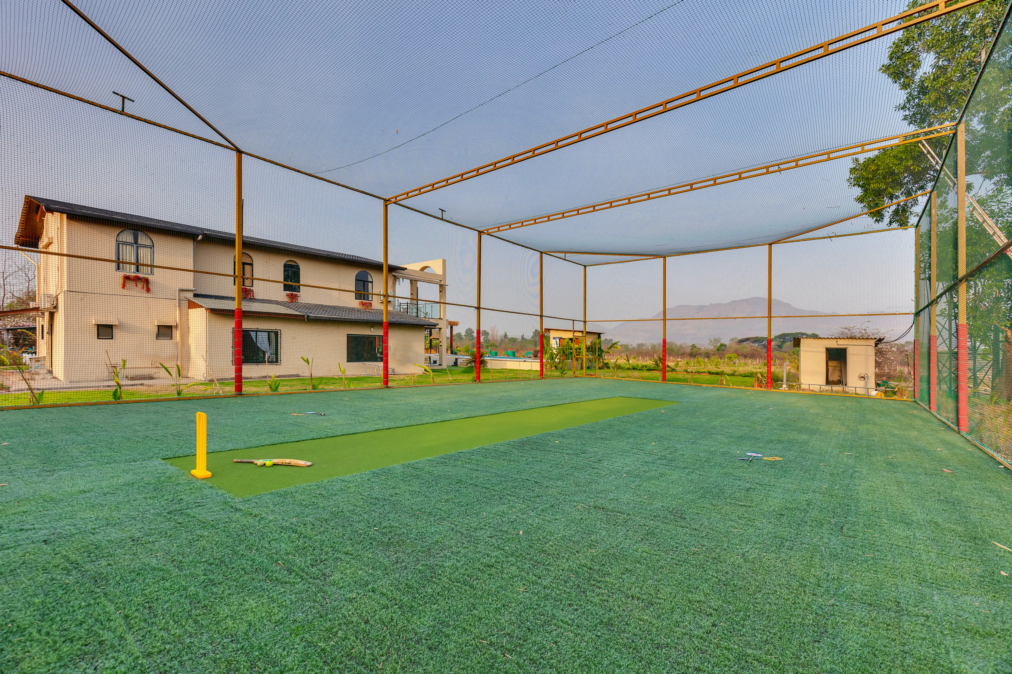 Cricket Turf