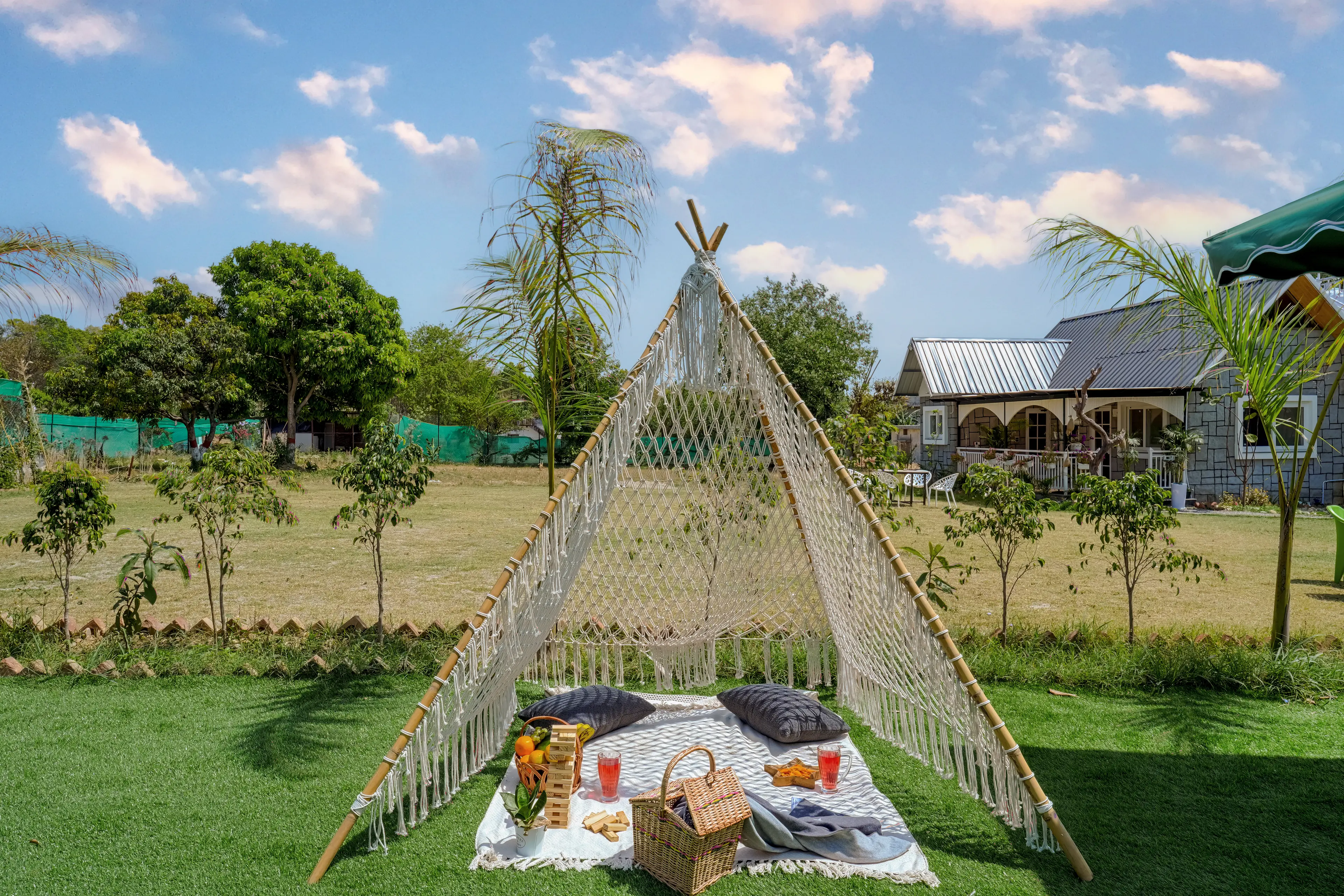 Picnic Setup