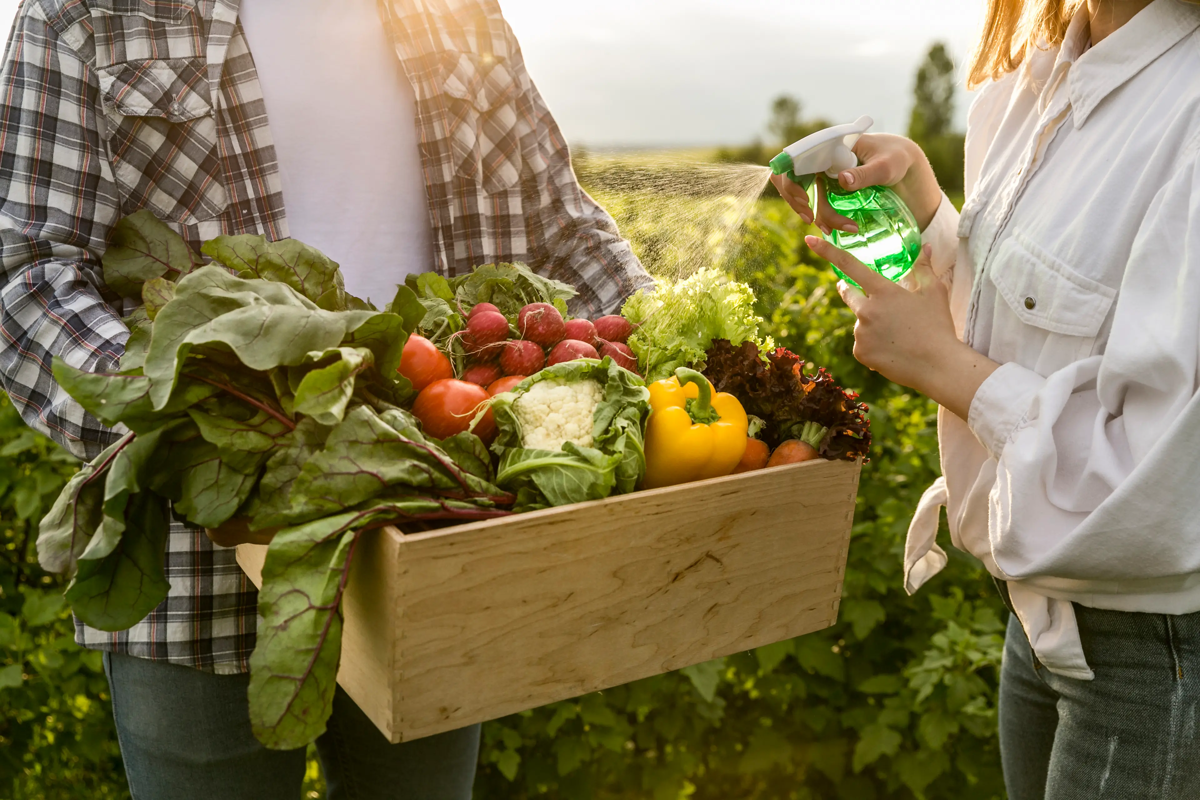 Farm to Table 