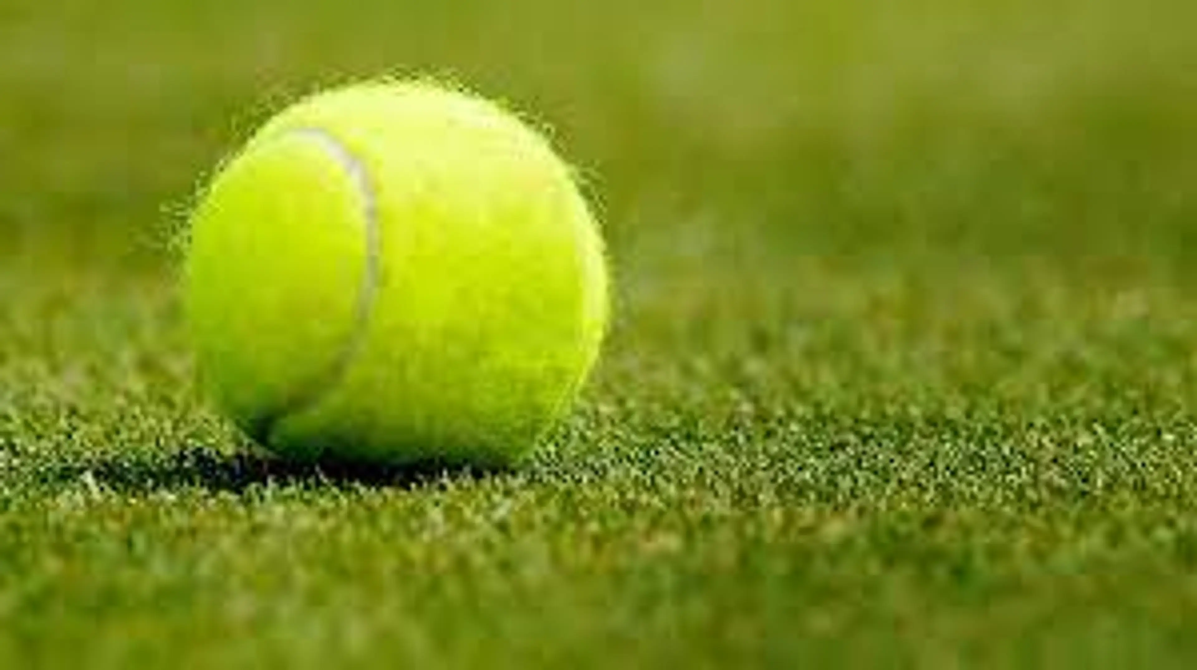 Soft Ball Cricket