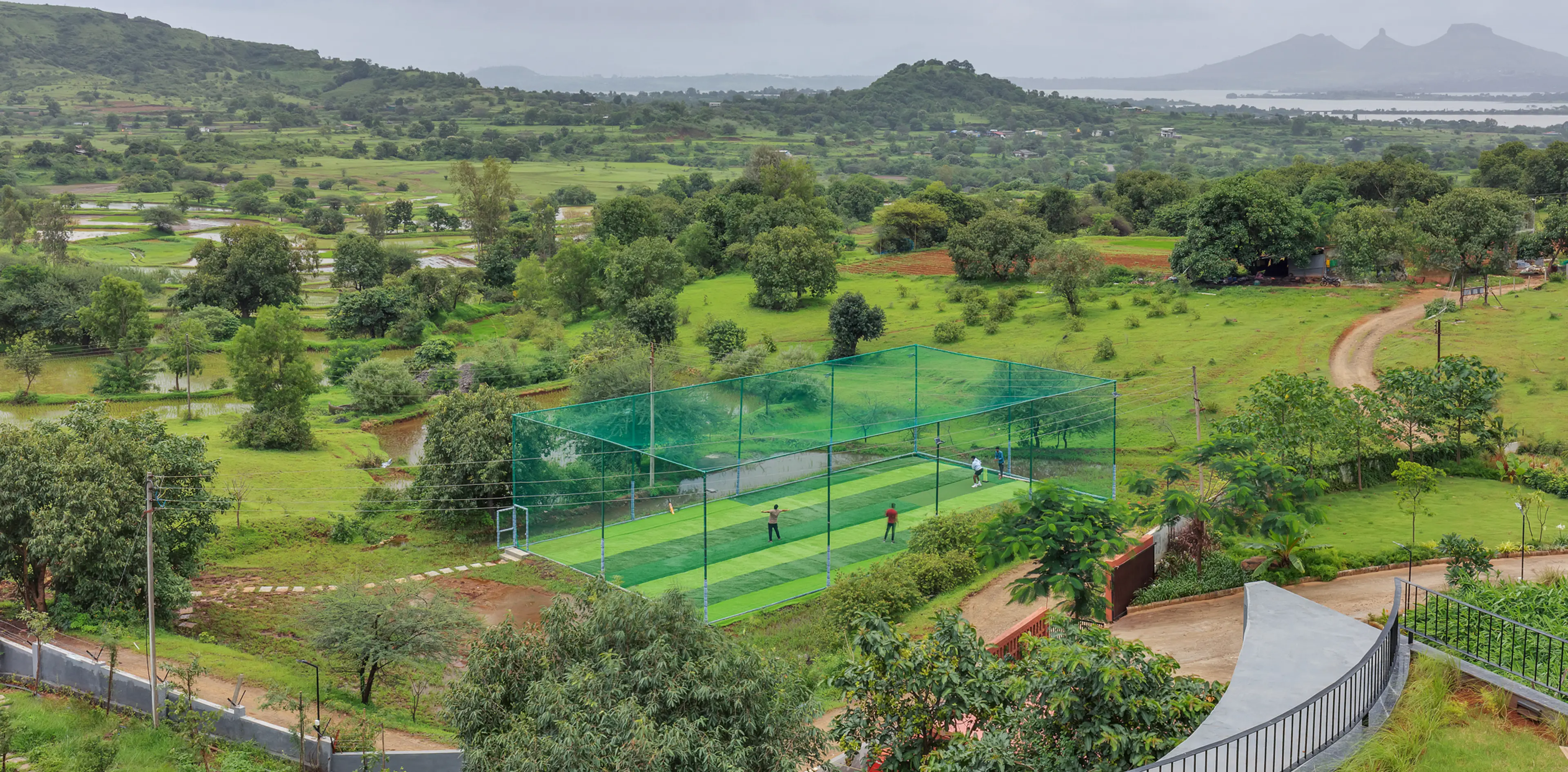 Cricket Turf