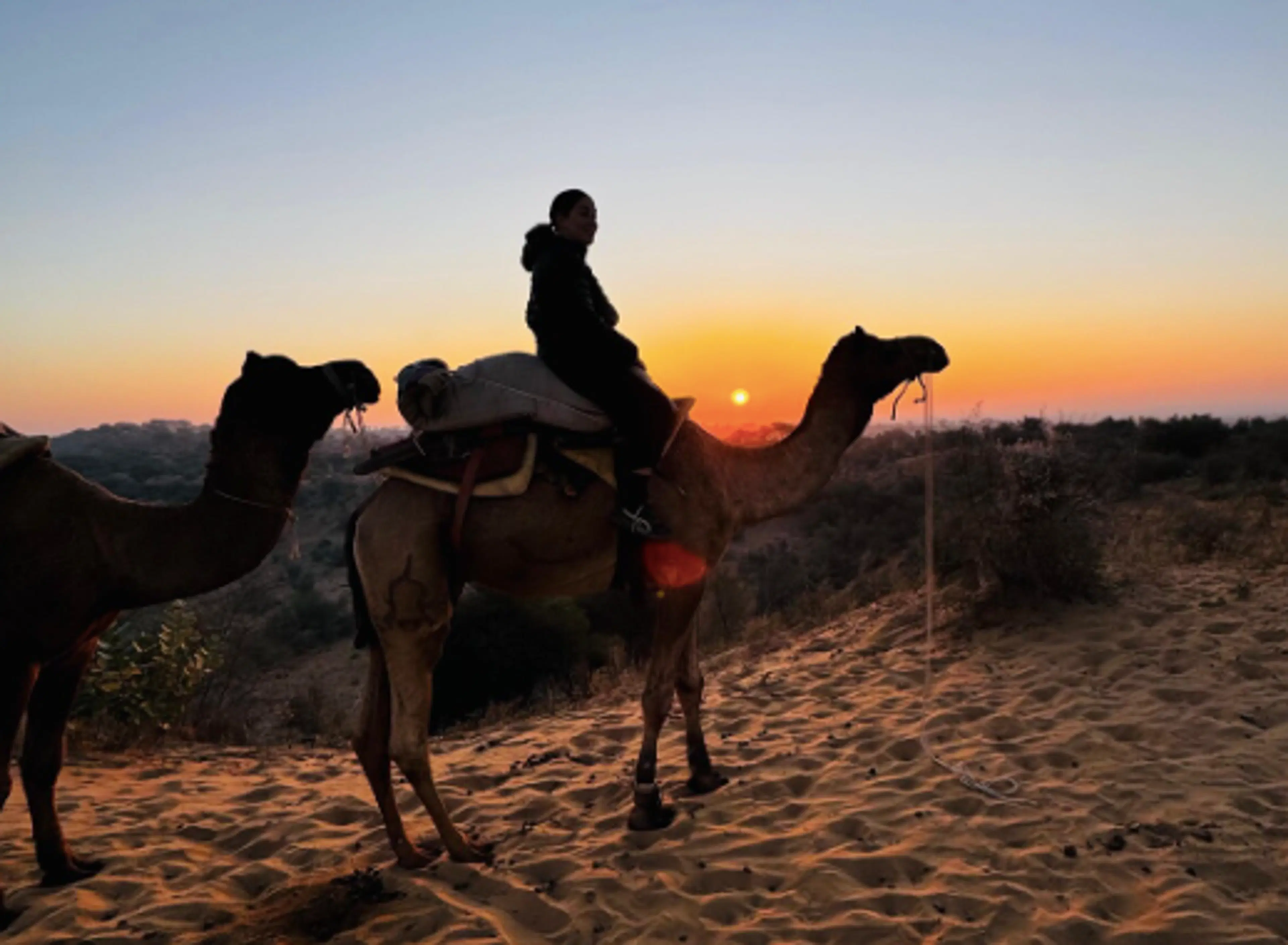 Camel Riding