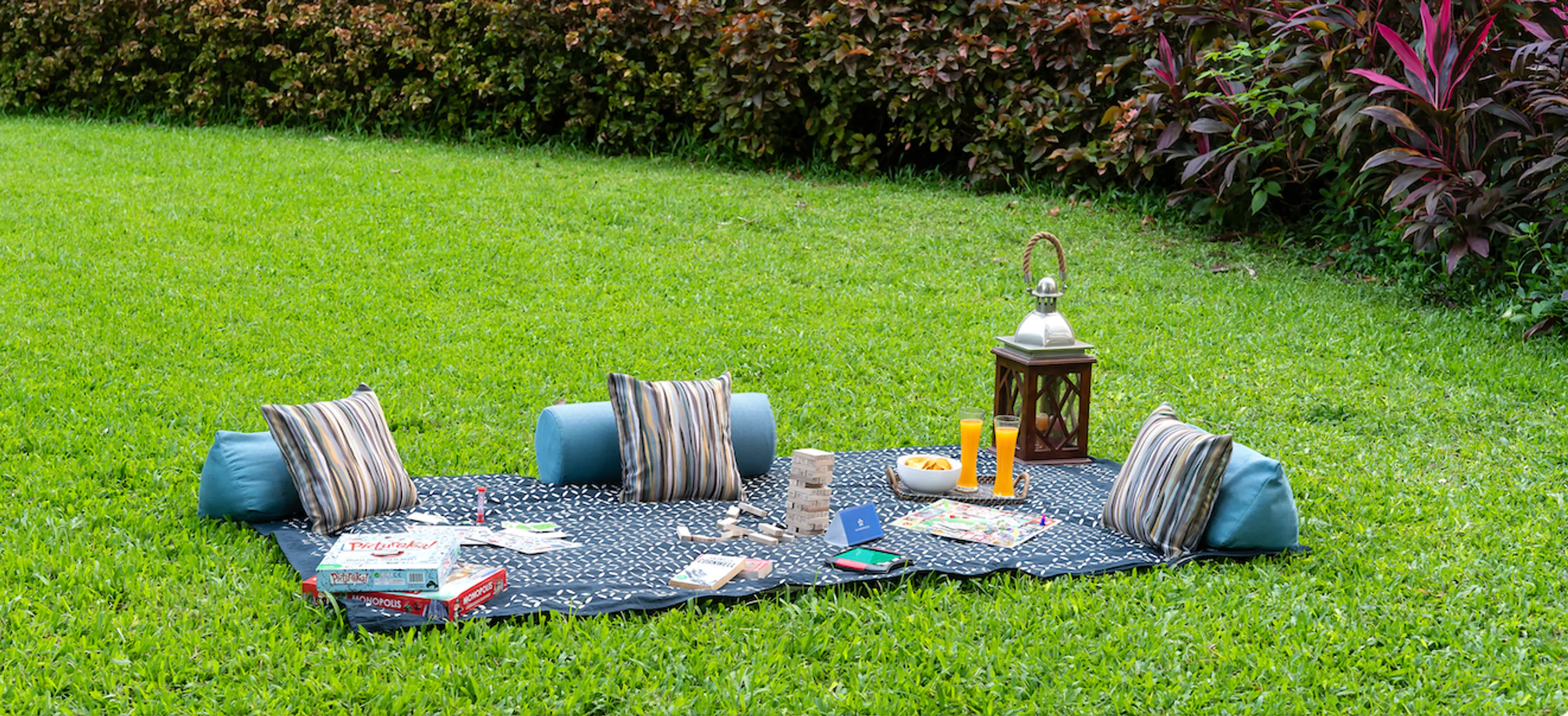 Outdoor Picnic